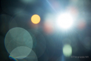 2015 Winterlichter im Palmengarten - Fotografin Nicole Gieseler
