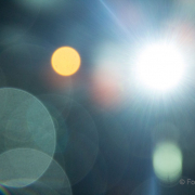 2015 Winterlichter im Palmengarten - Fotografin Nicole Gieseler