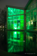 2015 Winterlichter im Palmengarten - Fotografin Nicole Gieseler