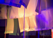 2015 Winterlichter im Palmengarten - Fotografin Nicole Gieseler