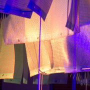 2015 Winterlichter im Palmengarten - Fotografin Nicole Gieseler
