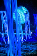 2015 Winterlichter im Palmengarten - Fotografin Nicole Gieseler
