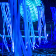 2015 Winterlichter im Palmengarten - Fotografin Nicole Gieseler