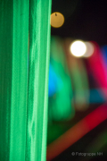 2015 Winterlichter im Palmengarten - Fotografin Nicole Gieseler