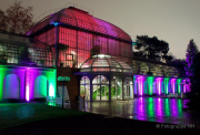 2015 Winterlichter im Palmengarten - Fotograf Joachim Würth