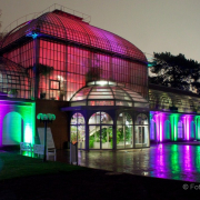 2015 Winterlichter im Palmengarten - Fotograf Joachim Würth