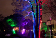 2015 Winterlichter im Palmengarten - Fotograf Joachim Würth
