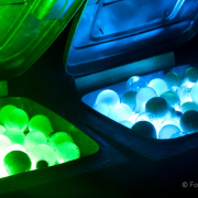 2015 Winterlichter im Palmengarten - Fotograf Joachim Würth