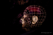 2015 Winterlichter im Palmengarten - Fotograf Joachim Würth