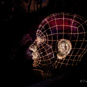 2015 Winterlichter im Palmengarten - Fotograf Joachim Würth