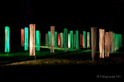 2015 Winterlichter im Palmengarten - Fotograf Joachim Würth