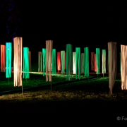 2015 Winterlichter im Palmengarten - Fotograf Joachim Würth