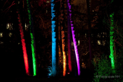 2015 Winterlichter im Palmengarten - Fotograf Joachim Würth