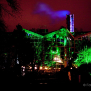 2015 Winterlichter im Palmengarten - Fotograf Joachim Würth
