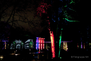 2015 Winterlichter im Palmengarten - Fotograf Joachim Würth