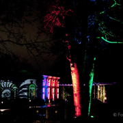 2015 Winterlichter im Palmengarten - Fotograf Joachim Würth