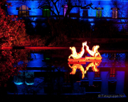 2015 Winterlichter im Palmengarten - Fotograf Joachim Würth