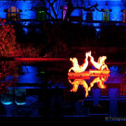 2015 Winterlichter im Palmengarten - Fotograf Joachim Würth