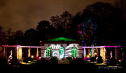 2015 Winterlichter im Palmengarten - Fotograf Joachim Würth