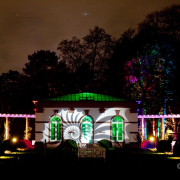 2015 Winterlichter im Palmengarten - Fotograf Joachim Würth
