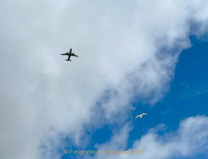 Fotografin Anne Jeuk