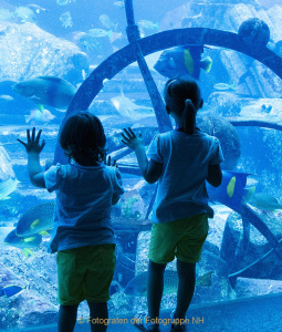 Fotografin Anne Jeuk