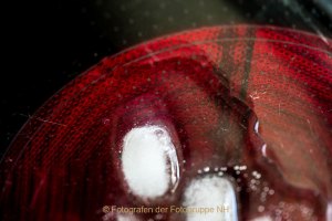 Fotografin Jutta R. Buchwald