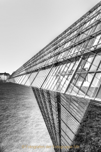 Fotografin Jutta R. Buchwald