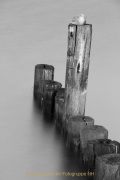 Fotografin Nicole Gieseler Bild 8: Buhnen