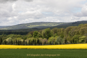 Fotograf Werner Ch. Buchwald: erblüht