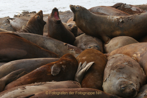 Fotograf Werner Ch. Buchwald: gross