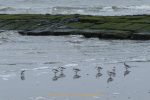 Fotograf Werner Ch. Buchwald: klein