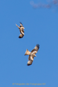 Fotograf Werner Ch. Buchwald: oben