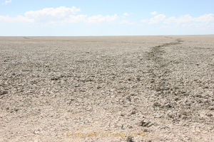 Fotograf Werner Ch. Buchwald: warm