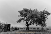 Kleine Galerie - PER ASPERA AD ASTRA - Fotografin Jutta R. Buchwald