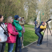 MakingOf - Limburg