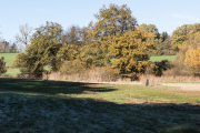 MO_wcb_03_HeftrichMoor
