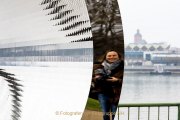 Spiegelungen Kasteler Ufer