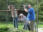 202308_04_Greifvogelwarte-Bad-Nauheim