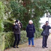 Making Of Mainz