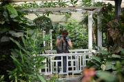 Making Of Schmetterlingspark Schloss Sayn