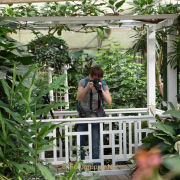 Making Of Schmetterlingspark Schloss Sayn