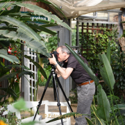 Making Of Schmetterlingspark Schloss Sayn