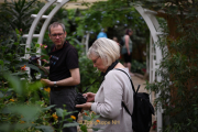 Making Of Schmetterlingspark Schloss Sayn