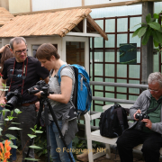 Making Of Schmetterlingspark Schloss Sayn