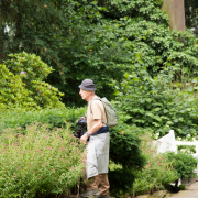 MakingOf - Kurpark Wiesbaden