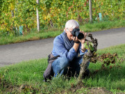MakingOf - Hochheim