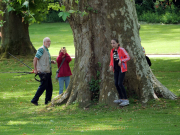 MakingOf - Kurpark Wiesbaden