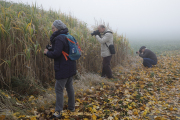 MakingOf - Bad Camberg