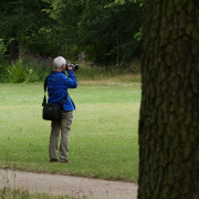 MakingOf - Blickachsen Kurpark Bad Homburg